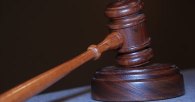gavel